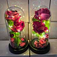 CUPULA DE PLÁSTICO CON 2 ROSAS ETERNAS CON LUZ LED MOD# 7002  🌻🌷 - Miniatura 9