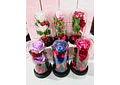 CUPULA DE PLÁSTICO CON 2 ROSAS ETERNAS CON LUZ LED MOD# 7002  🌻🌷