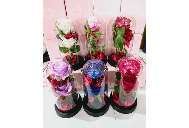 CUPULA DE PLÁSTICO CON 2 ROSAS ETERNAS CON LUZ LED MOD# 7002  🌻🌷