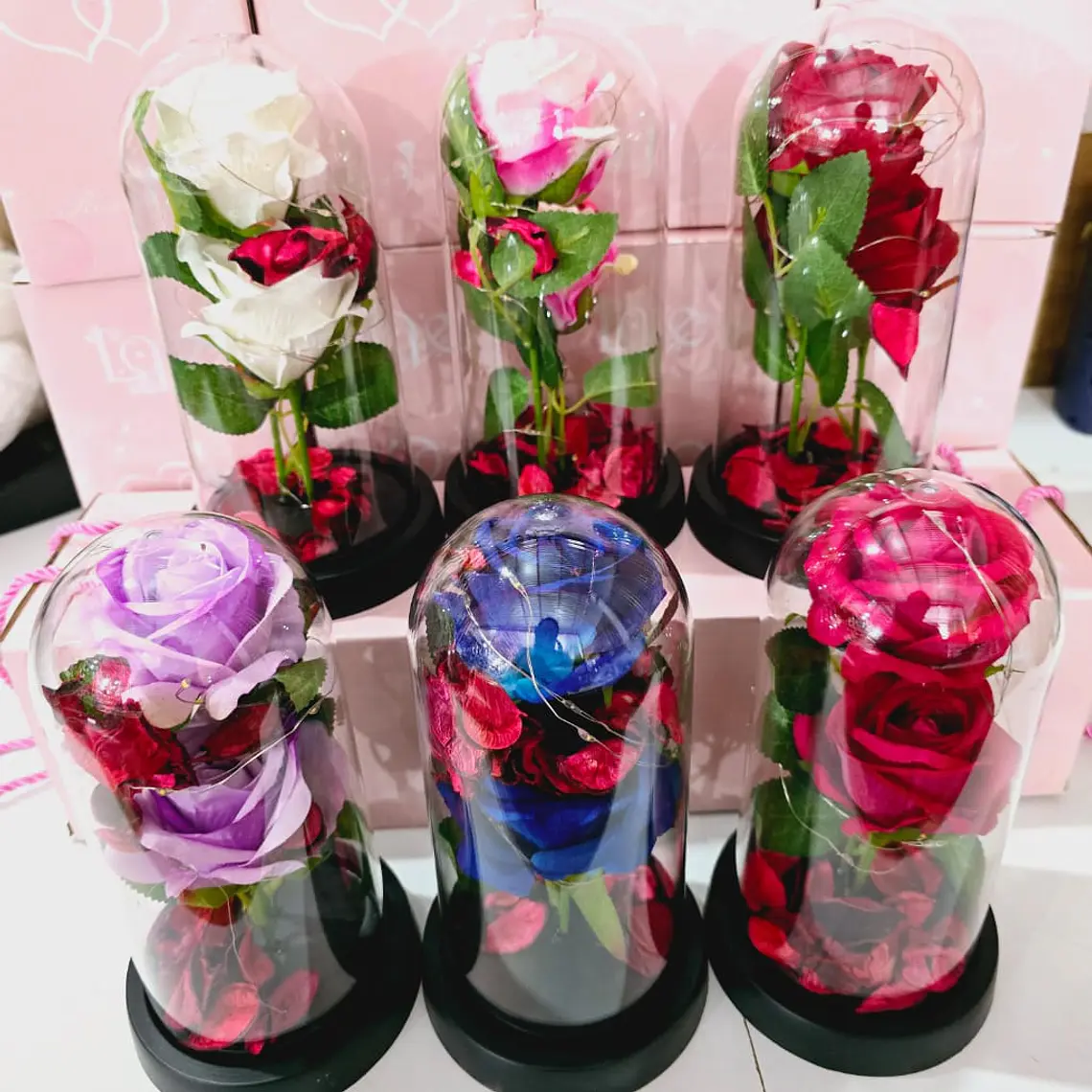 CUPULA DE PLÁSTICO CON 2 ROSAS ETERNAS CON LUZ LED MOD# 7002  🌻🌷 10