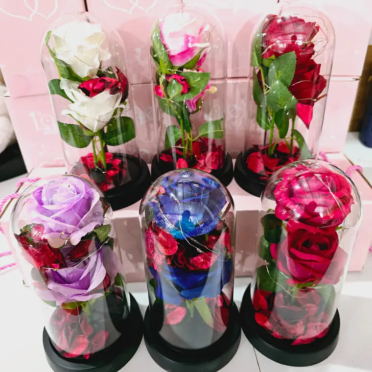 CUPULA DE PLÁSTICO CON 2 ROSAS ETERNAS CON LUZ LED MOD# 7002  🌻🌷 10