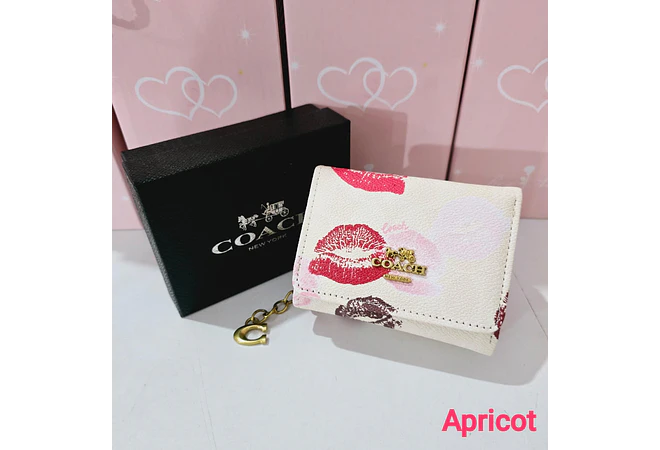 CARTERA IMITACIÓN COACH MOD# CQH-096