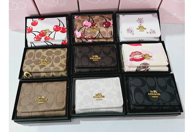 CARTERA IMITACIÓN COACH MOD# CQH-096