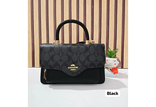 CROSS BODY IMITACIÓN COACH NEW YORK MOD# TZCC-008