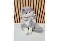 🥰MOCHILA DE PELUCHE DISEÑO GATO 🐱
