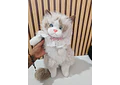 🥰MOCHILA DE PELUCHE DISEÑO GATO 🐱