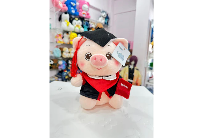 PELUCHE CERDITO CON BIRRETE Y TOGA DE GRADUACIÓN MOD# Z303🎓 🐷