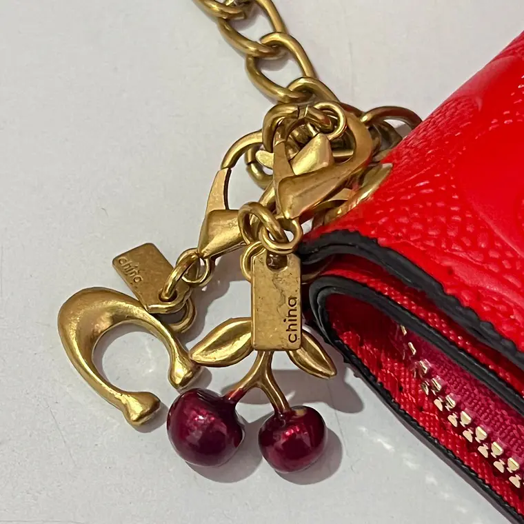 CARTERA PARA DAMA CON CADENITA (COACH) MOD# CAMO5  🍒 19