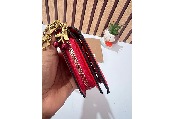 CARTERA PARA DAMA CON CADENITA (COACH) MOD# CAMO5  🍒