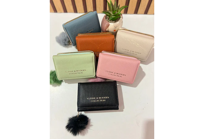 CARTERA/MONEDERO CLASSIC Y MODERN COLLECTION MOD# WA-11883025-22G-F   👛