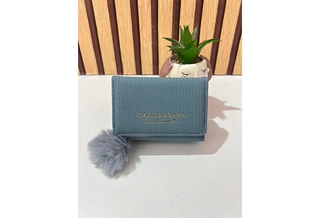 CARTERA/MONEDERO CLASSIC Y MODERN COLLECTION MOD# WA-11883025-22G-F   👛