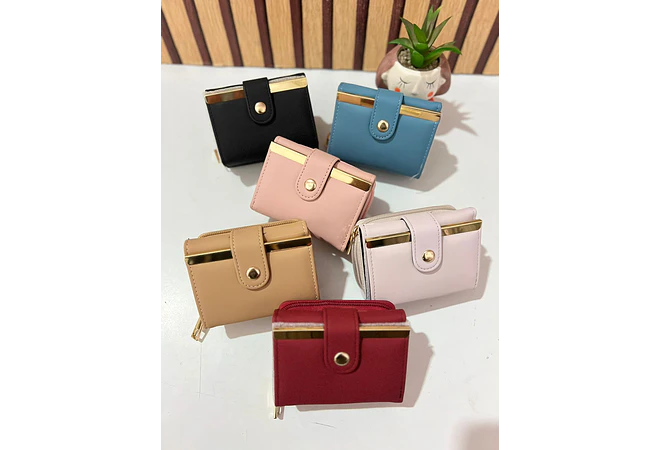 CARTERA/MONEDERO CON BROCHE MOD# WA-11883025-22A-F  👛