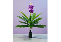 PLANTA ARTIFICIAL (ORQUÍDEA🪻) MOD# M/SG5177