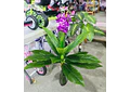PLANTA ARTIFICIAL (ORQUÍDEA🪻) MOD# M/SG5177