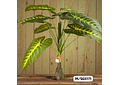 PLANTA ARTIFICIAL DE ORNATO PARA DECORAR MOD# M/SG5171, 172, 176🪴