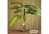 PLANTA ARTIFICIAL DE ORNATO PARA DECORAR MOD# M/SG5171, 172, 176🪴