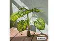PLANTA ARTIFICIAL DE ORNATO PARA DECORAR MOD# M/SG5171, 172, 176🪴