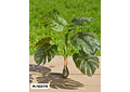 PLANTA ARTIFICIAL DE ORNATO PARA DECORAR MOD# M/SG5171, 172, 176🪴