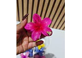 DOCENA DE PINZAS PARA EL CABELLO VARIOS MODELOS 🌷🥰
