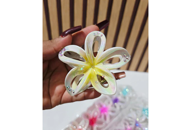 DOCENA DE PINZAS PARA EL CABELLO VARIOS MODELOS 🌷🥰