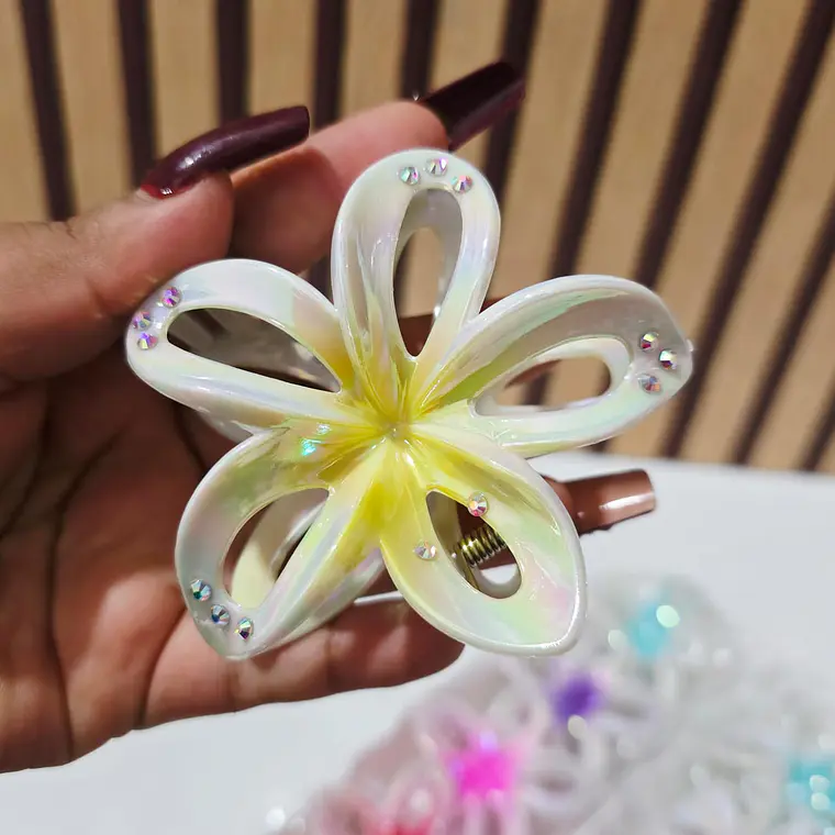 DOCENA DE PINZAS PARA EL CABELLO VARIOS MODELOS 🌷🥰 24