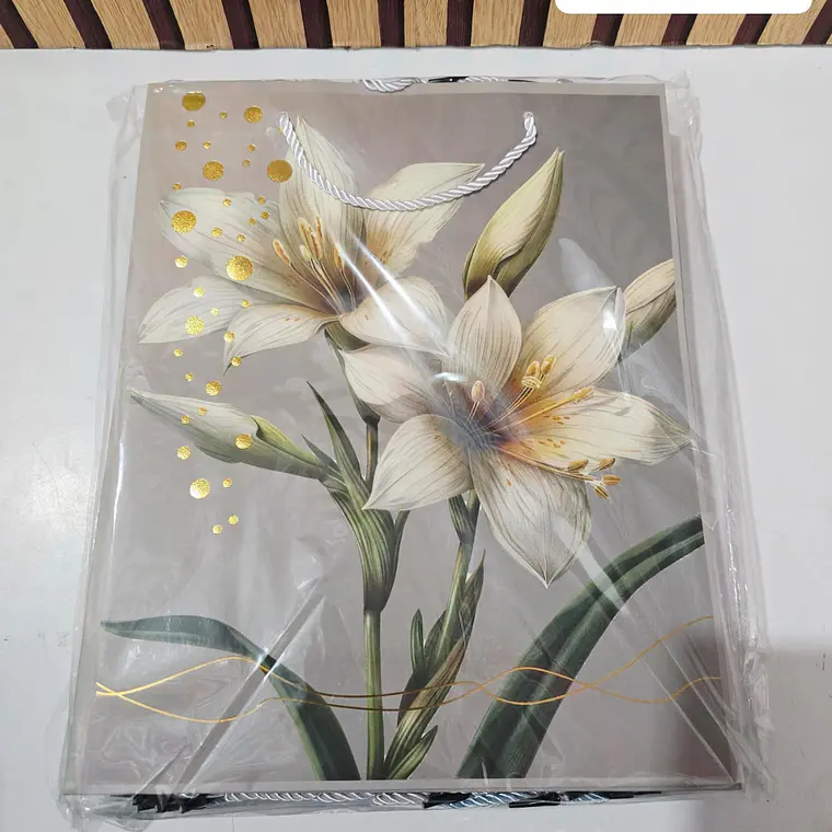BOLSA MEDIANA PARA REGALO VARIOS DISEÑOS #4B, 0B, 9B 🦋🎁 3