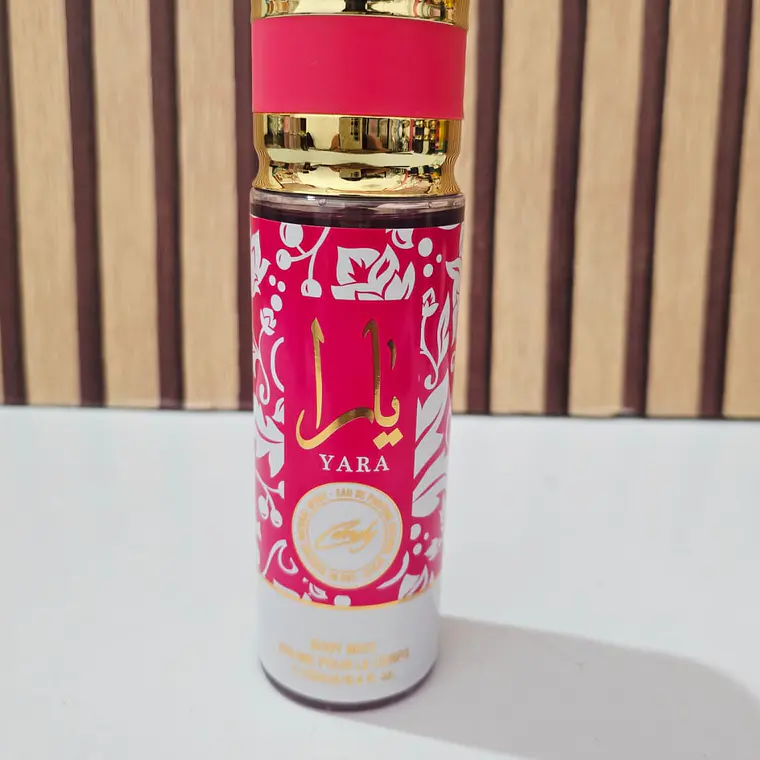 PERFUME BODY MIST DE 250ML PARA DAMA Y CABALLERO MOD# 1916-1,4,22,23,9 3