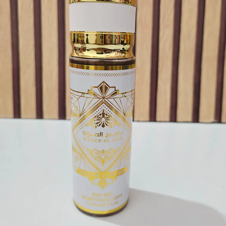 PERFUME BODY MIST DE 250ML PARA DAMA Y CABALLERO MOD# 1916-1,4,22,23,9 7