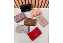 CARTERA CHAROL MOÑO MOD: WGT5-69  🎀