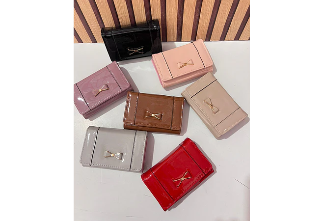 CARTERA CHAROL MOÑO MOD: WGT5-69  🎀