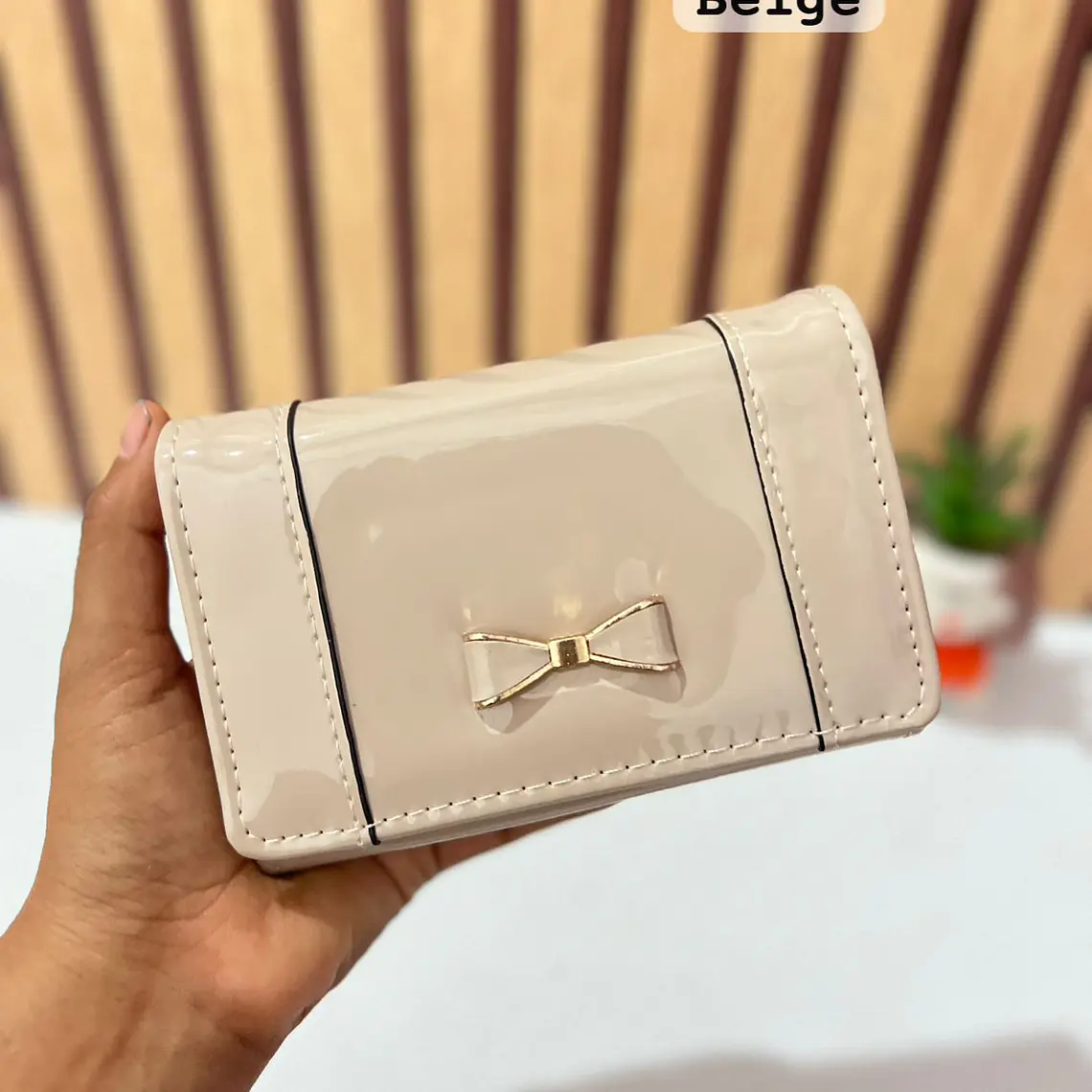 CARTERA CHAROL MOÑO MOD: WGT5-69  🎀 6