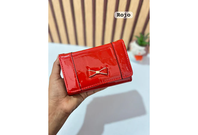 CARTERA CHAROL MOÑO MOD: WGT5-69  🎀