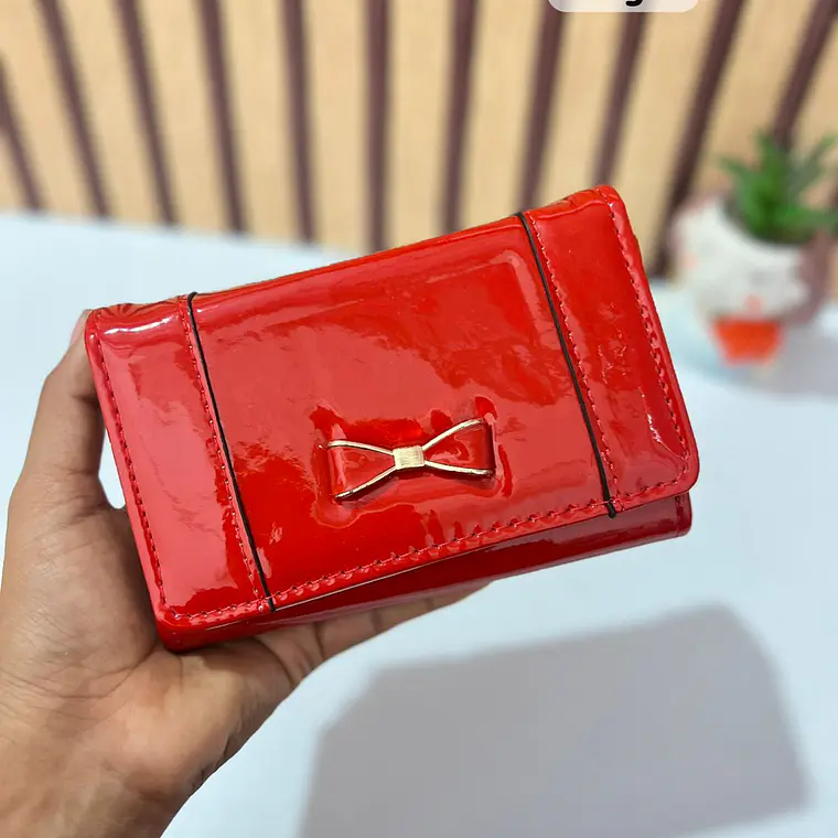 CARTERA CHAROL MOÑO MOD: WGT5-69  🎀 7