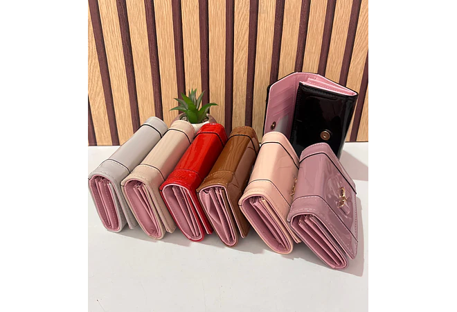 CARTERA CHAROL MOÑO MOD: WGT5-69  🎀
