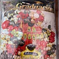 SET DE GLOBOS DECORACIÓN GRADUACIÓN 🧑‍🎓 - Miniatura 12