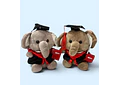 PELUCHE ELEFANTITO CON BIRRETE 🎓  MOD# K448 🐘