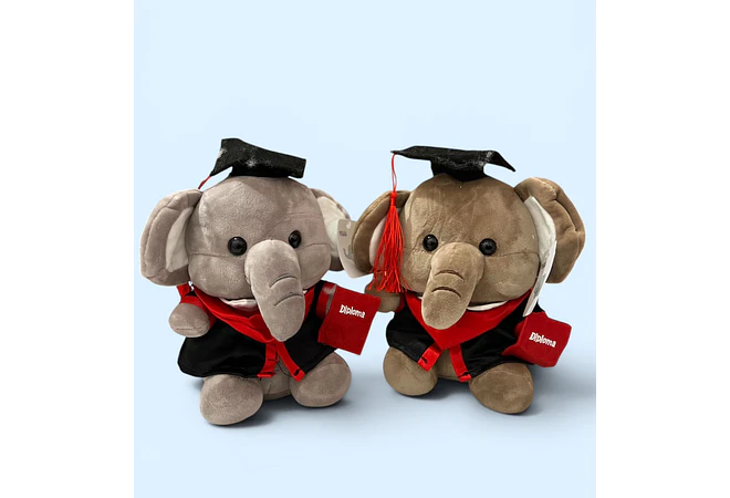 PELUCHE ELEFANTITO CON BIRRETE 🎓  MOD# K448 🐘