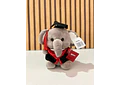 PELUCHE ELEFANTITO CON BIRRETE 🎓  MOD# K448 🐘