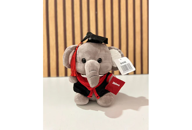 PELUCHE ELEFANTITO CON BIRRETE 🎓  MOD# K448 🐘
