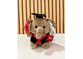PELUCHE ELEFANTITO CON BIRRETE 🎓  MOD# K448 🐘