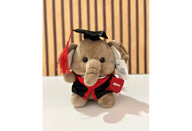 PELUCHE ELEFANTITO CON BIRRETE 🎓  MOD# K448 🐘