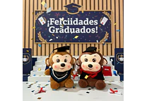 🐒 PELUCHE CHANGUITO CON BIRRETE 🎓  MOD# M287