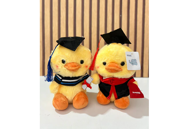 PELUCHE PATITO CON BIRRETE 🎓  MOD# Y040 🐥