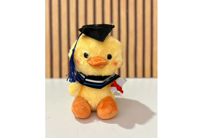 PELUCHE PATITO CON BIRRETE 🎓  MOD# Y040 🐥
