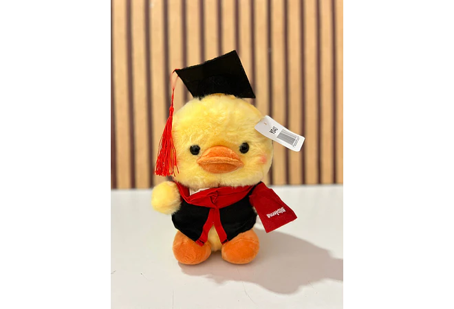 PELUCHE PATITO CON BIRRETE 🎓  MOD# Y040 🐥