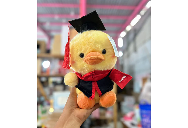 PELUCHE PATITO CON BIRRETE 🎓  MOD# Y040 🐥
