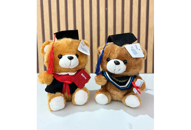 PELUCHE OSITO CON BIRRETE 🎓  MOD# B194 🧸