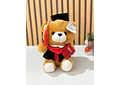 PELUCHE OSITO CON BIRRETE 🎓  MOD# B194 🧸