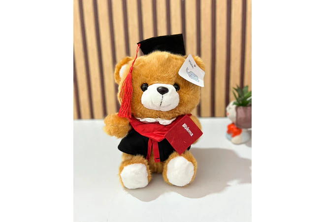PELUCHE OSITO CON BIRRETE 🎓  MOD# B194 🧸
