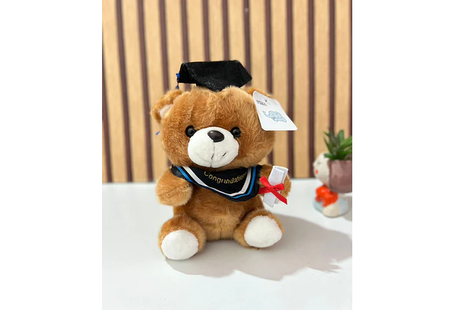 PELUCHE OSITO CON BIRRETE 🎓  MOD# B194 🧸